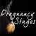 Pregnancy Stages