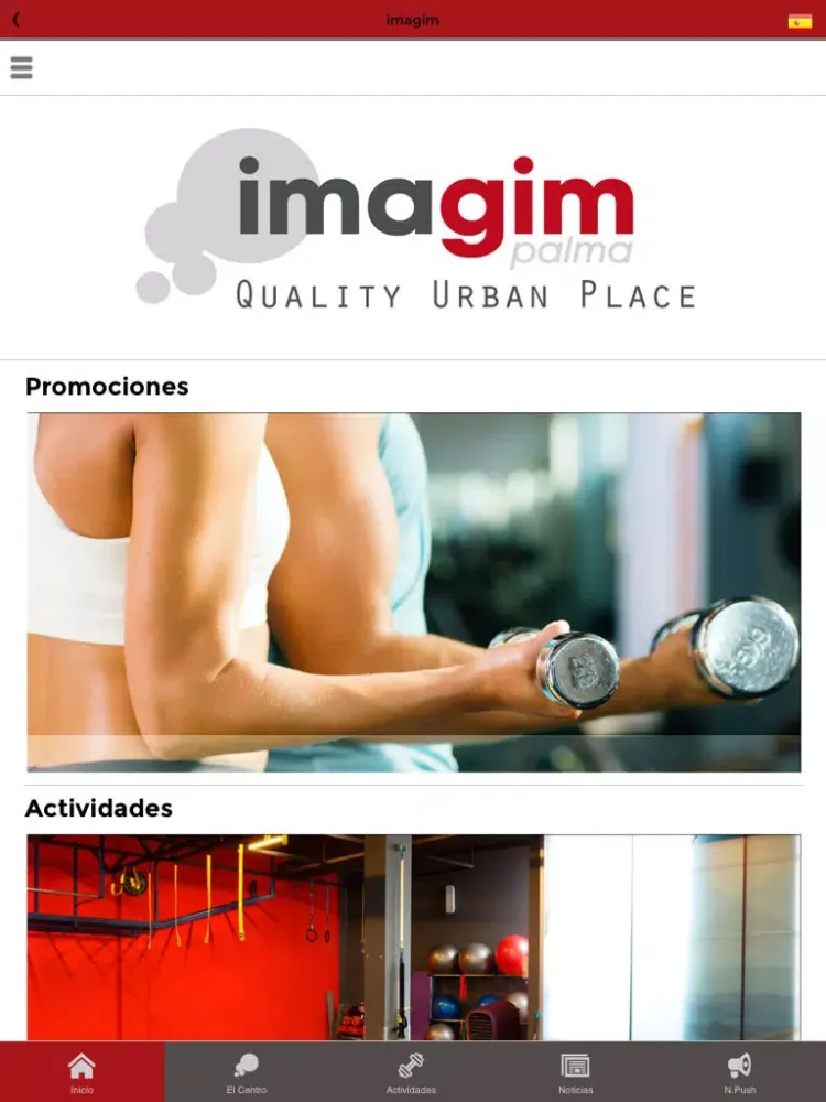 تصاویر Imagim Palma iPad 