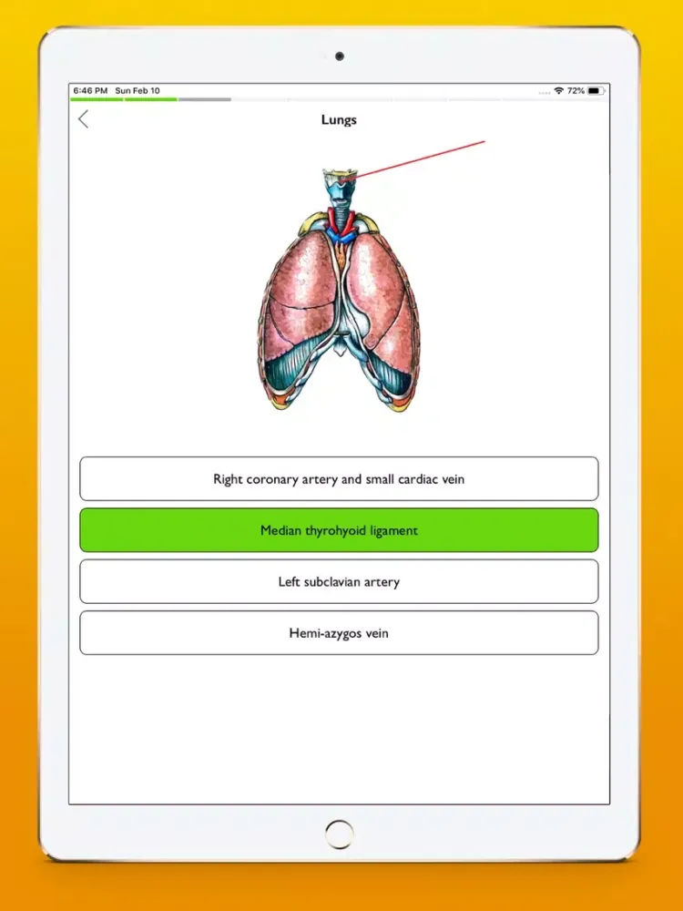 Screenshot di Respiratory system atlas iPad 