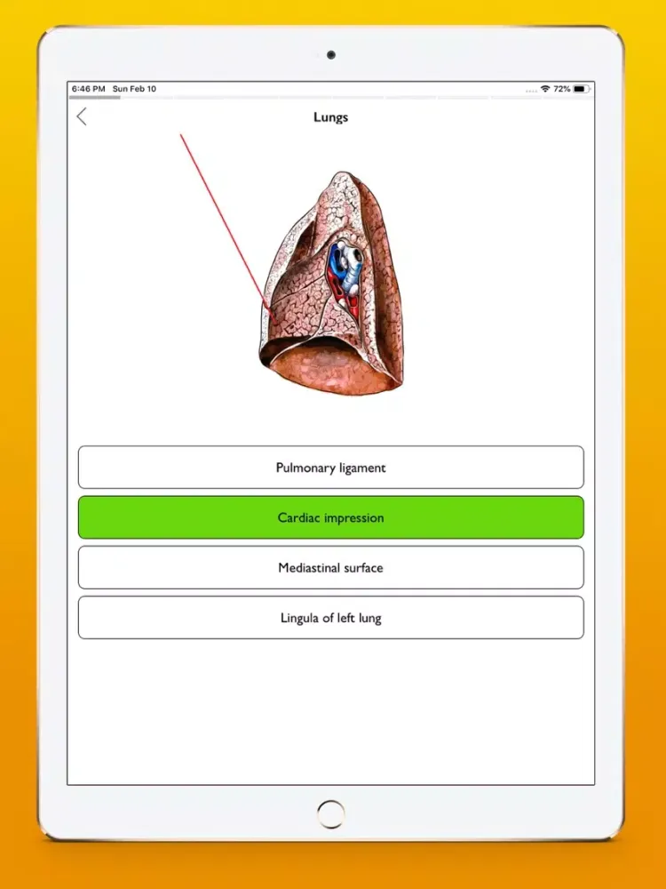 Screenshot di Respiratory system atlas iPad 