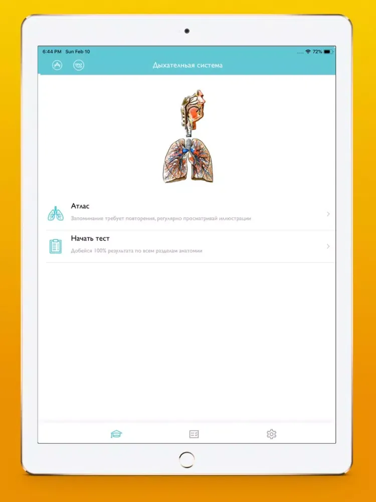 Screenshot di Respiratory system atlas iPad 