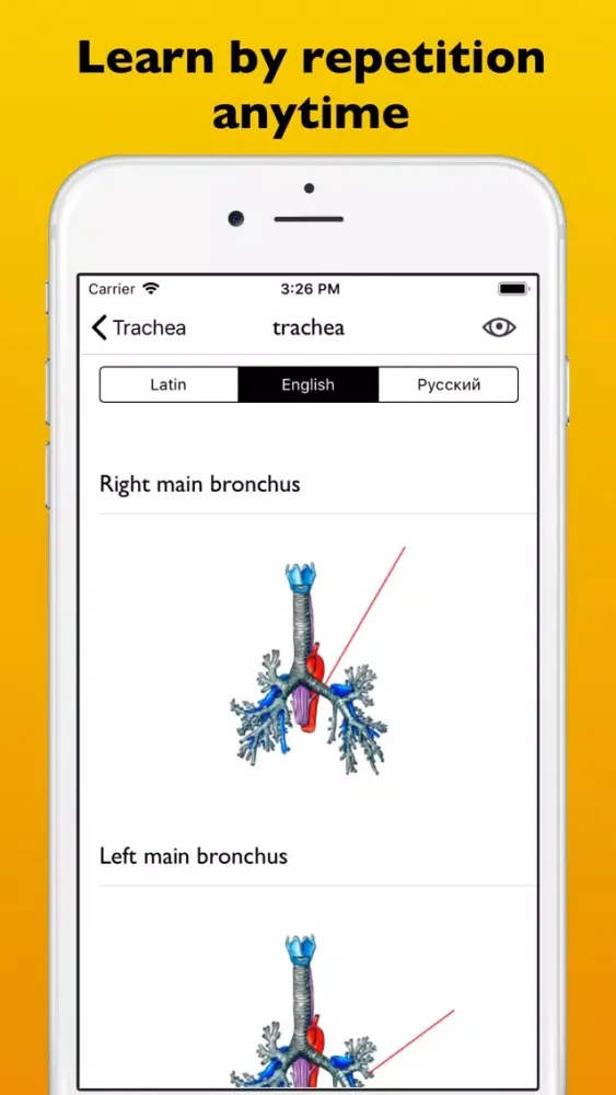 Screenshot di Respiratory system atlas