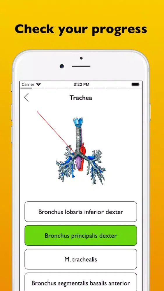 Screenshot di Respiratory system atlas