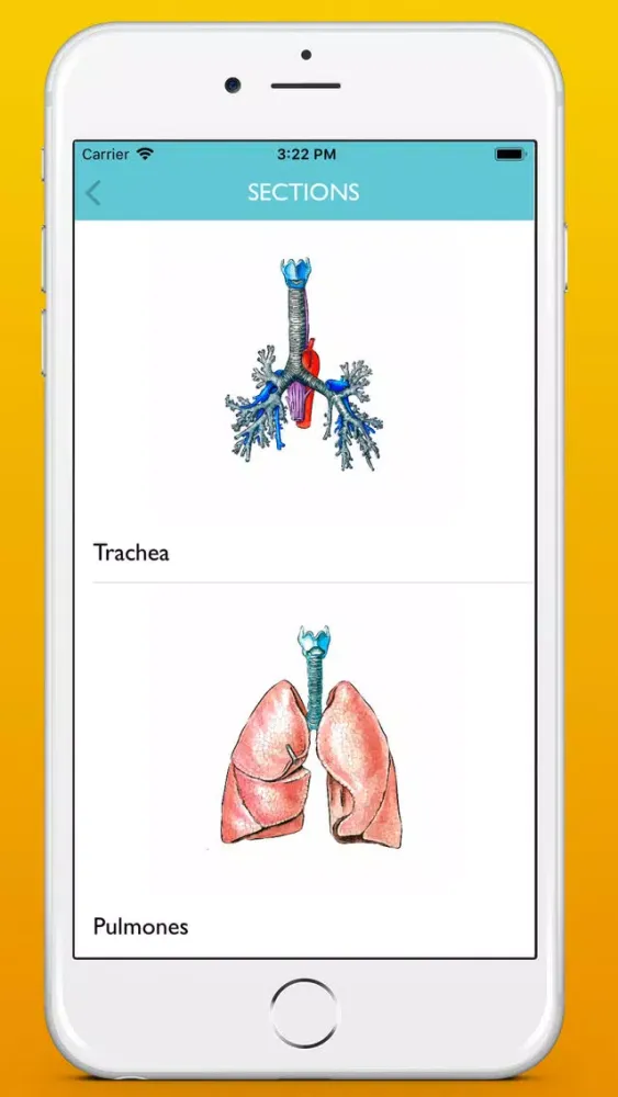 Screenshot di Respiratory system atlas