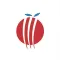 Mediterranean Cricket League