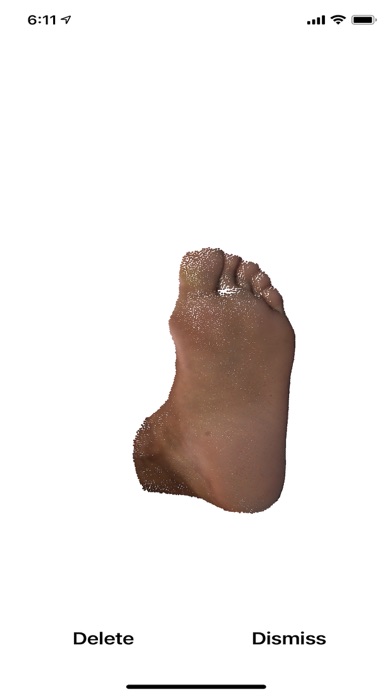 HEALIC FootScanner Screenshots