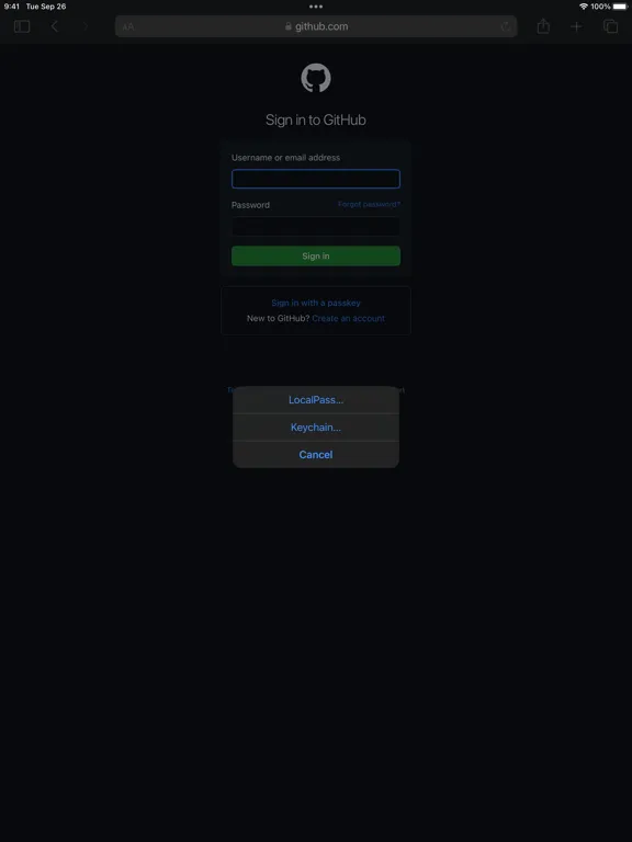 تصاویر LocalPass iPad 