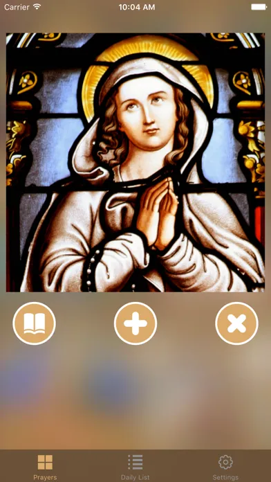 Lourdes Daily Prayers应用截图