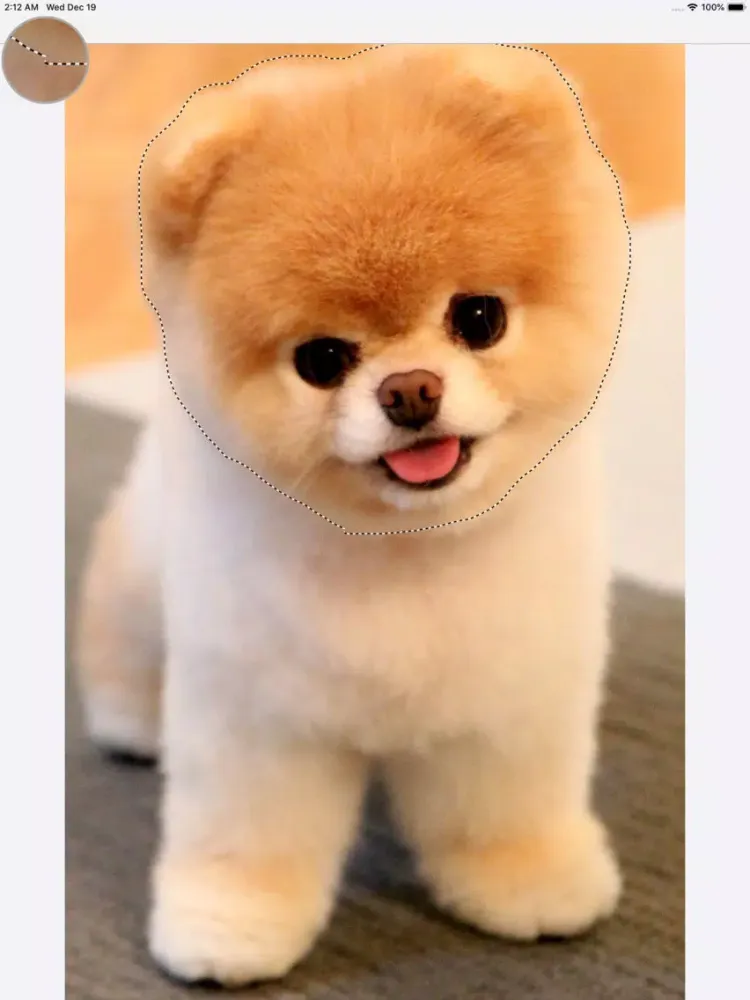 Photo Cutouts: Sticker Maker iPad  Screenshots