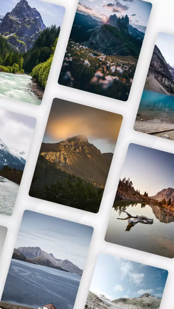 Reverse Image Search: Reverse应用截图