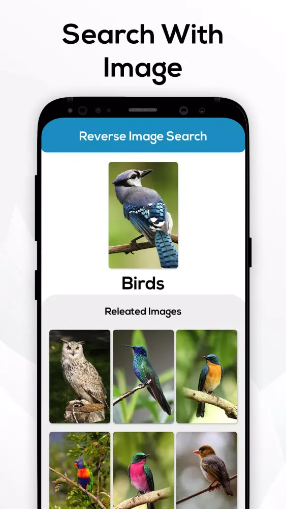 Reverse Image Search: Reverse应用截图