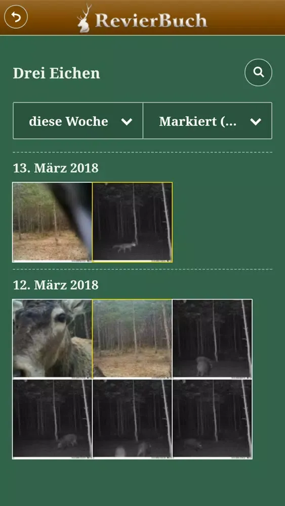 تصاویر RevierBuch