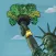 “101 Revolutionary Ways to Be Healthy” from Experience Life magazine and RevolutionaryAct.com