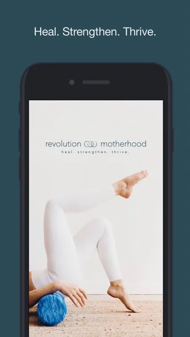 Captures d'écran de Revolution Motherhood
