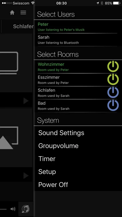 Zrzuty ekranu Revox Multiuser Control
