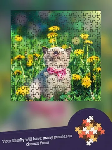 Jigsaw Cutest Kitten Ever Puzzle Puzz - Play To Enjoy iPad  स्क्रीनशॉट