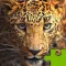 Big Cats Puzzle 4 Kids Endless Jigsaw-Adventure