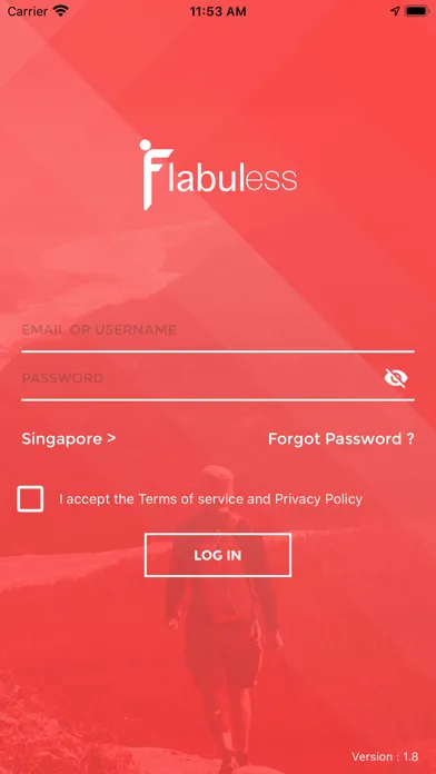 Zrzuty ekranu Flabuless Inc