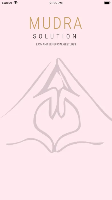 Скриншоты Mudra Solution