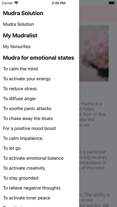 Скриншоты Mudra Solution