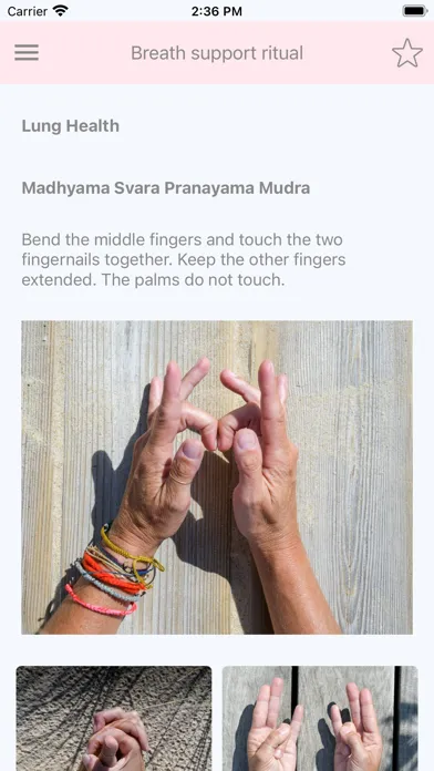 Скриншоты Mudra Solution