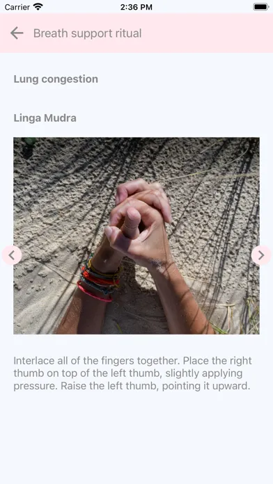 Скриншоты Mudra Solution