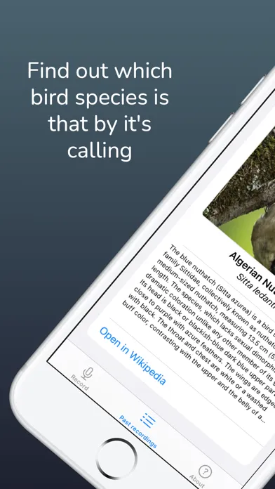 Screenshot di Bird Sound Identifier