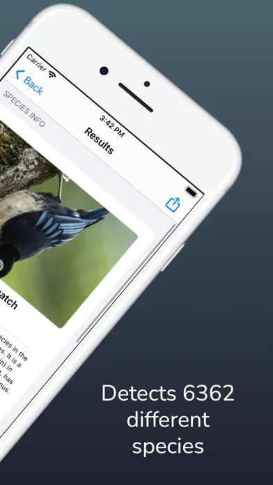 Screenshot di Bird Sound Identifier