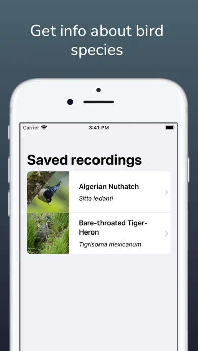 Screenshot di Bird Sound Identifier