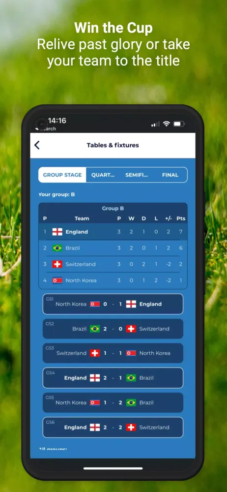 Скриншоты International Football Manager