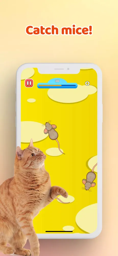 Ảnh chụp màn hình của Games for Cat－Toy Mouse & Fish
