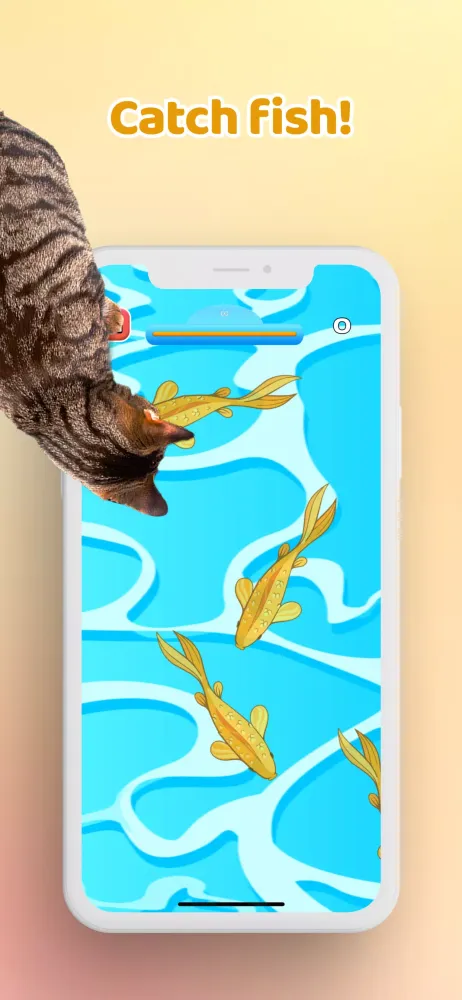 Ảnh chụp màn hình của Games for Cat－Toy Mouse & Fish