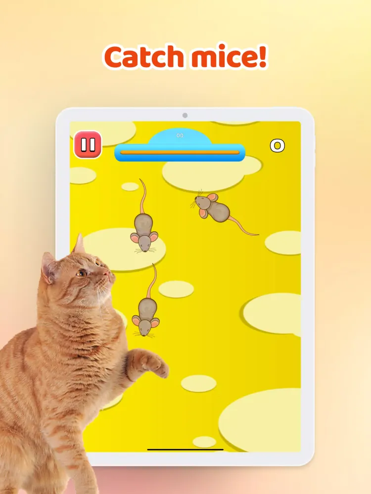 Ảnh chụp màn hình của Games for Cat－Toy Mouse & Fish