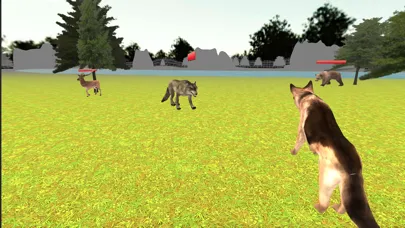 Dog Life Simulator Animal Game应用截图