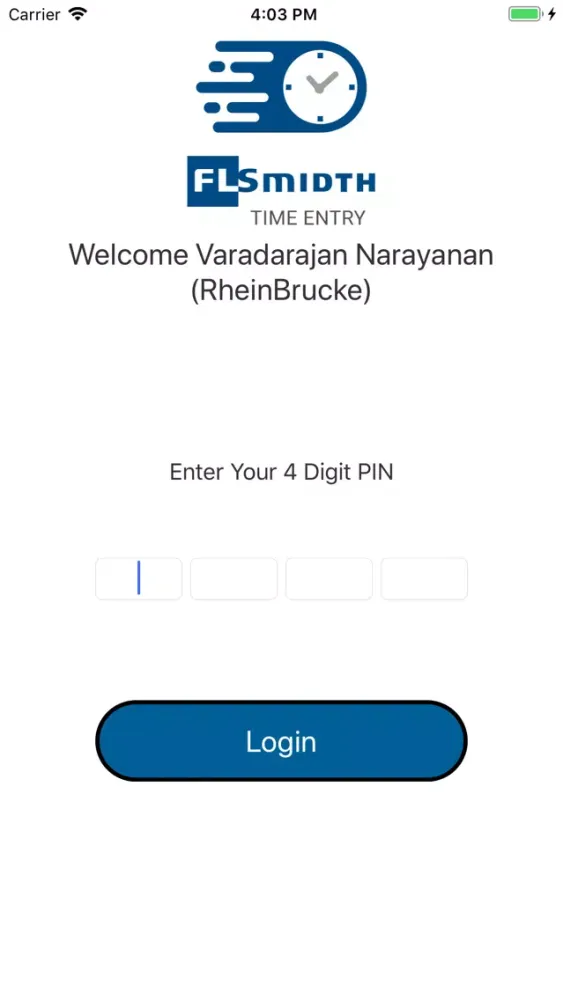 FLS Time Entry Screenshots