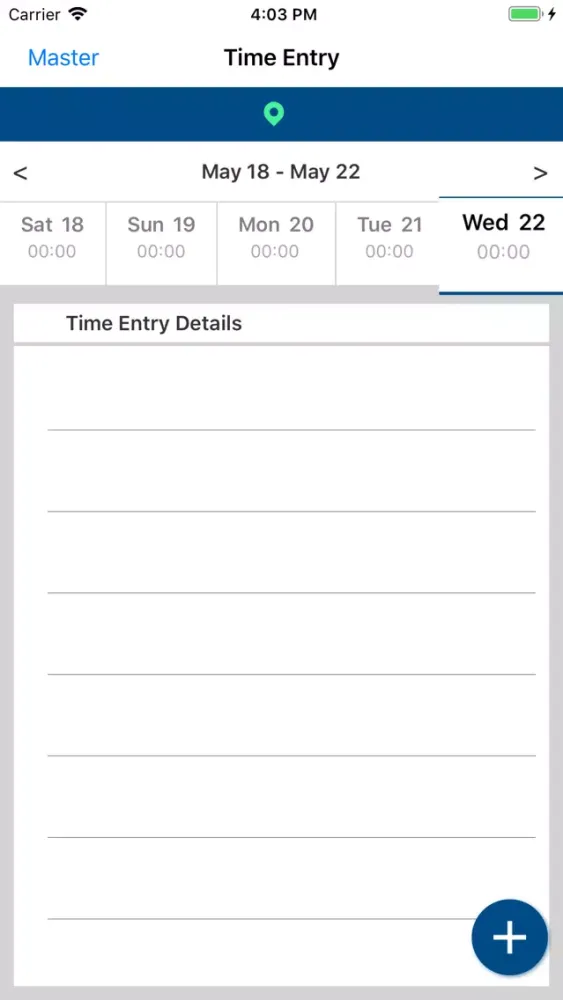 FLS Time Entry Screenshots