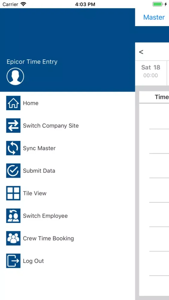 FLS Time Entry Screenshots