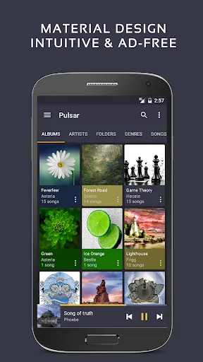 Pulsar Music Player স্ক্রিনশট