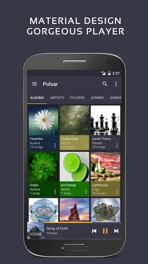 Pulsar Music Player Pro-screenshot-1