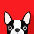 Boston Terrier Emoji: Puppy Stickers for iMessage