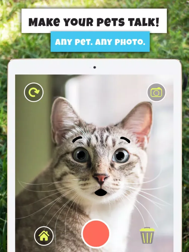 Pet Effects and Talking Camera iPad  Screenshots