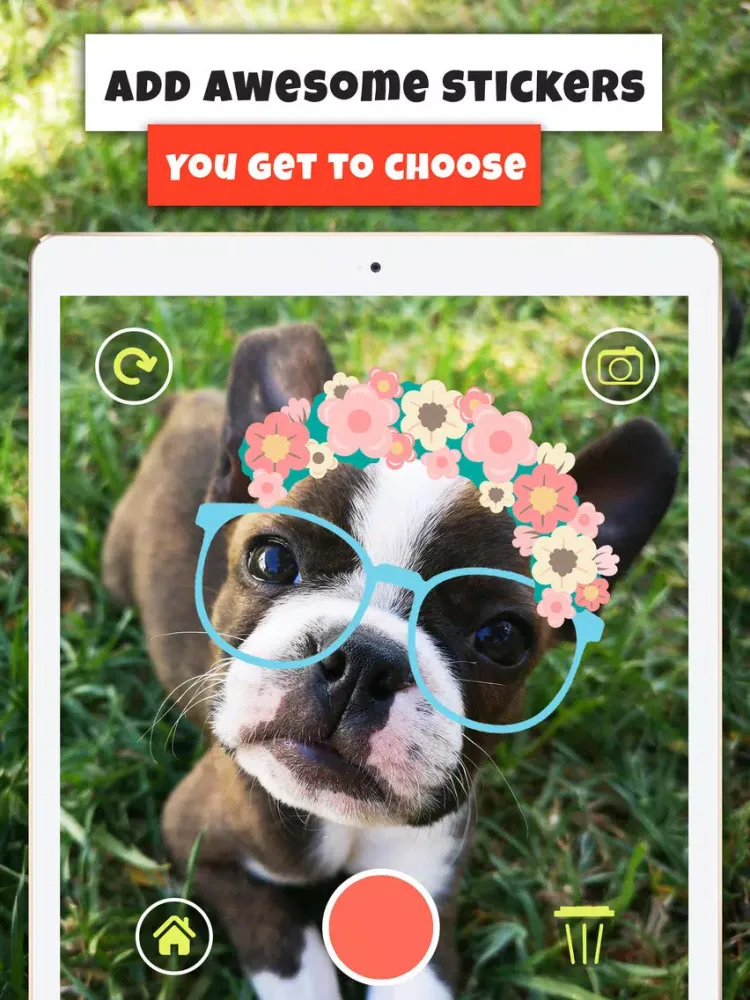Pet Effects and Talking Camera iPad  Screenshots