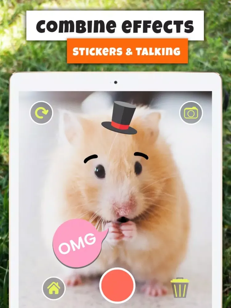 Pet Effects and Talking Camera iPad  Screenshots