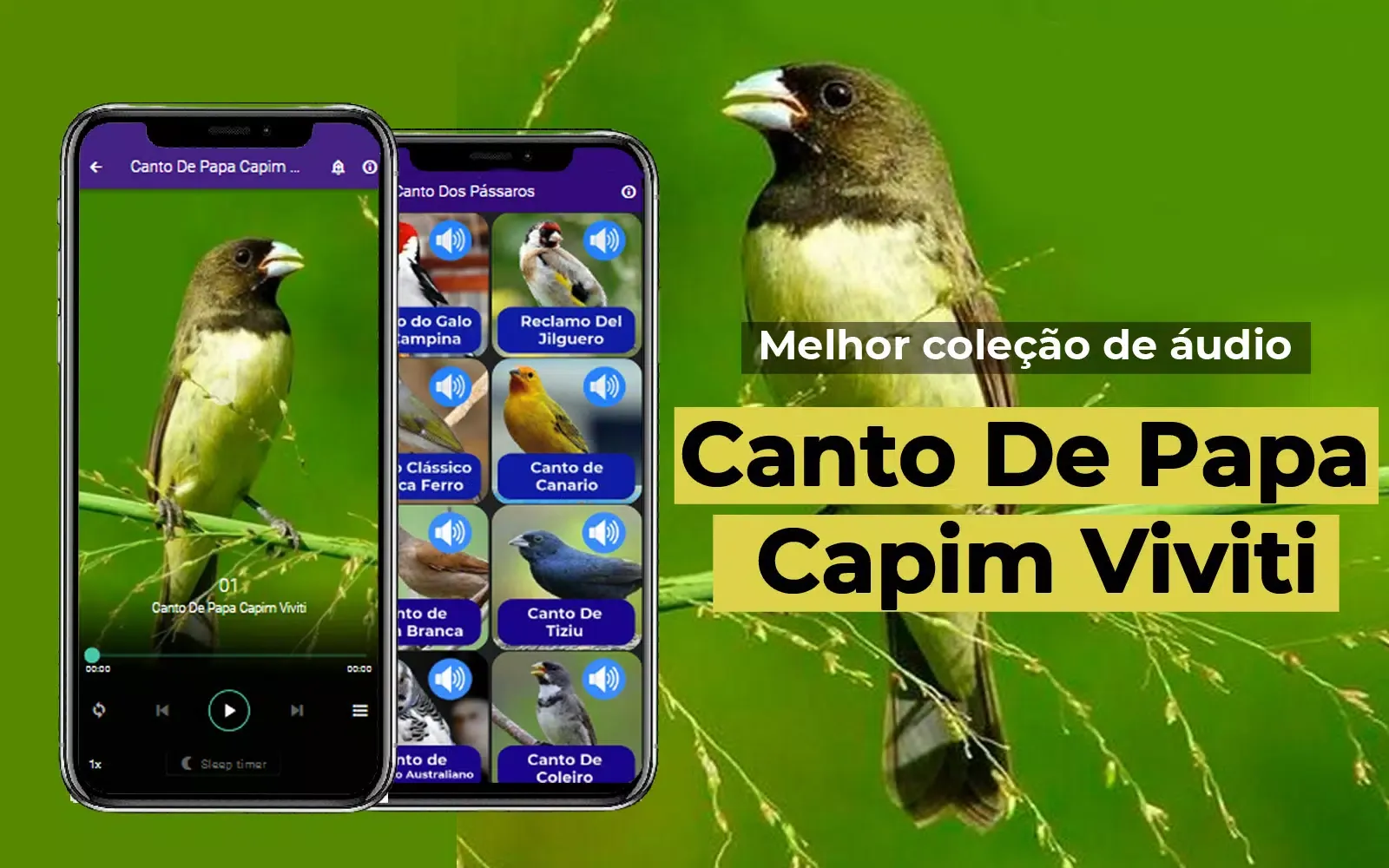 Zrzuty ekranu Canto De Papa-Capim viviti