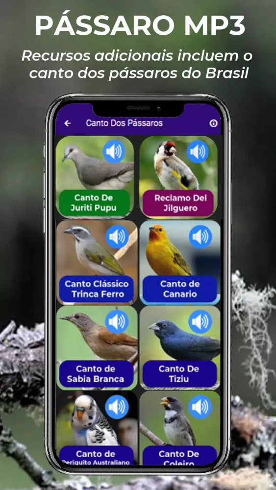 Zrzuty ekranu Canto De Papa-Capim viviti
