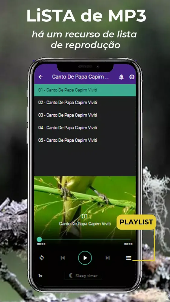 Zrzuty ekranu Canto De Papa-Capim viviti