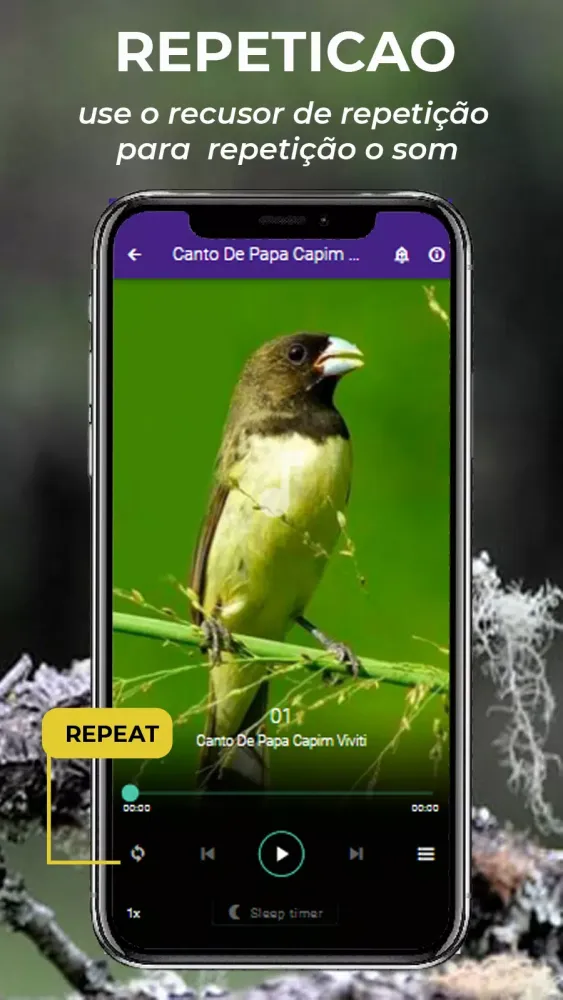Zrzuty ekranu Canto De Papa-Capim viviti