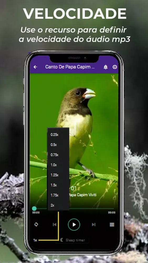 Zrzuty ekranu Canto De Papa-Capim viviti