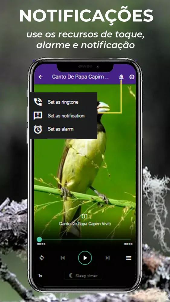 Zrzuty ekranu Canto De Papa-Capim viviti
