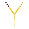 Balance Studio App